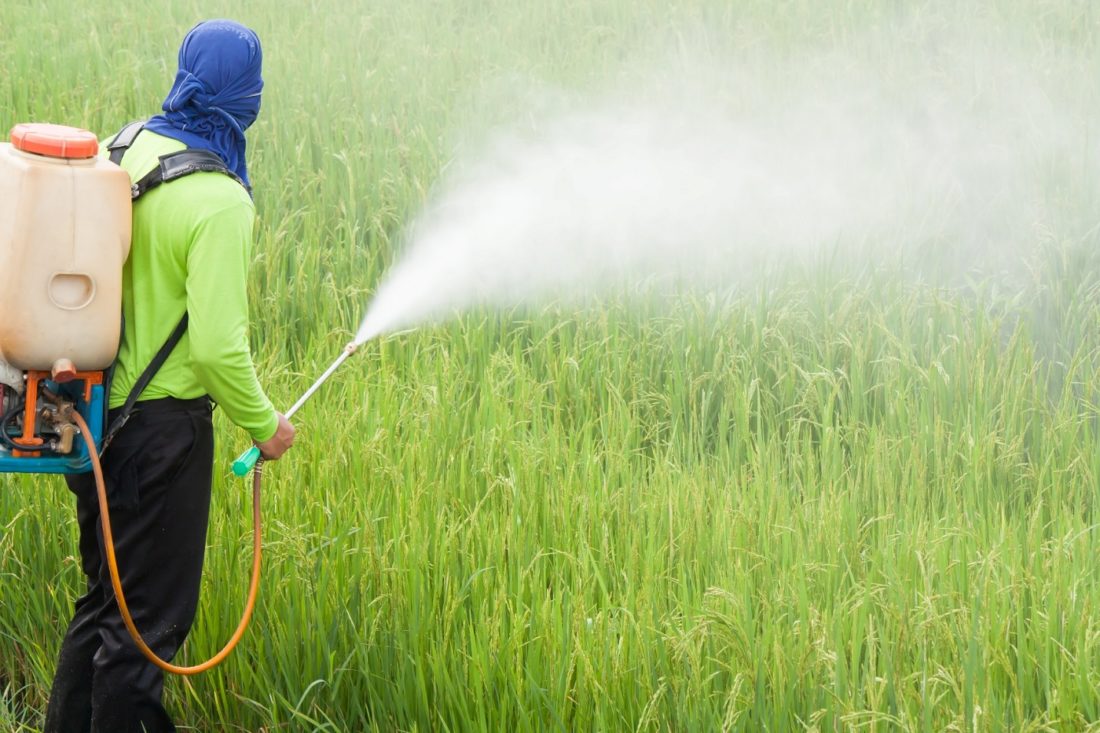 Impactos do uso do agrotóxico – Sinergia Engenharia
